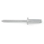 Rivetti in acciaio inox A2 DIN 7337 UNI9200A 3,9x16mm 10pz N44590008083-0%