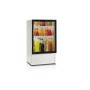 Vitrifrigo LT45PV Frigobar a compressore 45lt 220/240Vac Hotel Ufficio VT16005164-30%