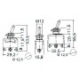 15A ON-OFF-ON 6-Pole Toggle Switch with Self-Return N51324727007