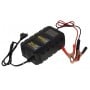 EUR 12V 20A Max Portable Battery Charger 110-240V Cars Motorcycles N52421020866