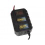 EUR 12V 20A Max Portable Battery Charger 110-240V Cars Motorcycles N52421020866