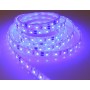 Striscia LED IP67 12v 5 Metri 10w/mt 60 LED5050/mt Luce Blu N50227502106-20%