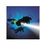 Diving 10W CREE LED Power Aluminum Torch N51925501016