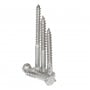 Seatop Stainless steel A2 UNI 704 DIN 571 8x60mm Wood Screws 10pcs N44590006983