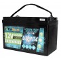 Batteria al Litio LiFePO4 12v 100Ah TopSolar ITALIA 12,8V 1280Wh BMS Smart integrato N51120050948 (60Giorni)-43%