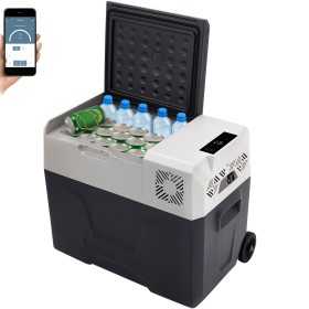 Mini Frigo Freezer portatile 40Lt 12/24/220V con App Control N40816080003-13.234%