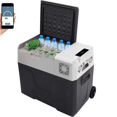 Mini Frigo Freezer portatile 50Lt 12/24/220V con App Control N40816080002-13.234%