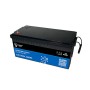 Ultimatron LiFePO4 12V 300Ah UBL-12-300-PRO 12.8V Batteria al Litio BMS Smart Bluetooth 3840Wh