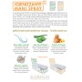 Citrus Fruits Hand Sanitizer Spray 18ml Antibacterial Disinfectant N90056004630