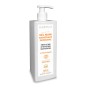 Gel Mani Igienizzante Detergente 500ml DLG SALUS N90056004646