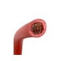 Cavo Batteria flessibile H07V-K Rosso 16mmq Ø8mm V/m N50824001100-0%