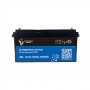 Ultimatron LiFePO4 24V 100Ah UBL-24-100-PRO Batteria al Litio BMS Smart Bluetooth 2560Wh ULUBL24100