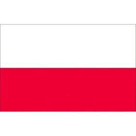 Bandiera Polonia 50x75cm in stamina di poliestere MT3406750-40%