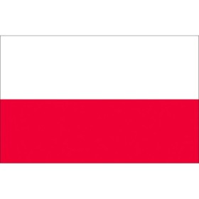 Polyester Bunting Poland Flag Polyester Bunting 50x75cm MT3406750