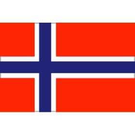 Flag of Norway 20X30cm FNI5252353