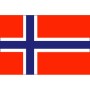 Bandiera Norvegia 20X30cm FNI5252353-5%