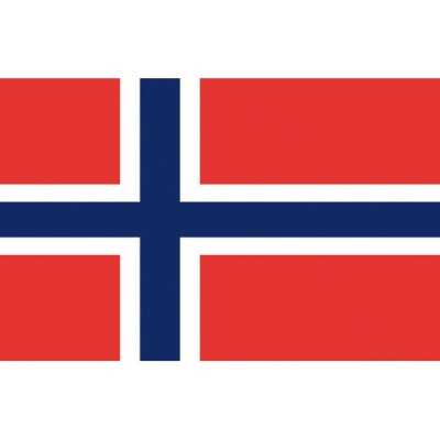 Norway Flag 40x60cm OS3543203
