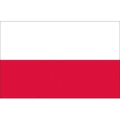 Poland Flag 20x30cm N30112503695