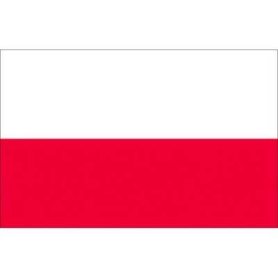 Bandiera Polonia 30x45cm OS3546302-40%