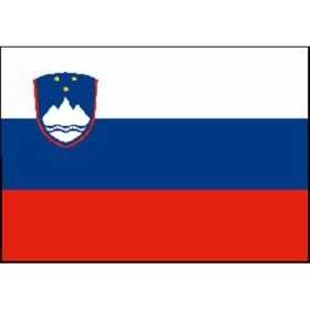 Slovenia Flag 70x100cm OS3544105