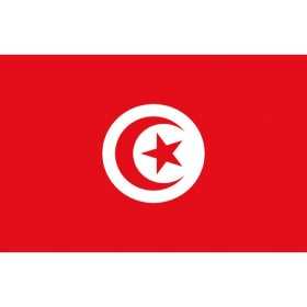 Tunisia Flag 20x30cm OS3543801