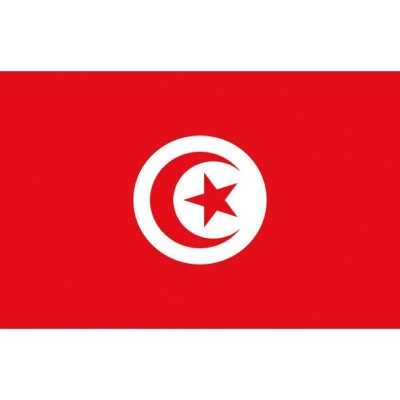 Bandiera Tunisia 20x30cm OS3543801-40%