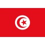 Bandiera Tunisia 20x30cm OS3543801-40%