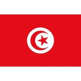 Tunisia Flag 30x45cm OS3543802