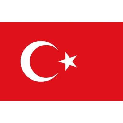 Bandiera Turchia 20x30cm N30112503715-40%