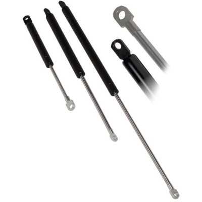 Stainless steel Gas spring eye eye Open 600mm N31311023676