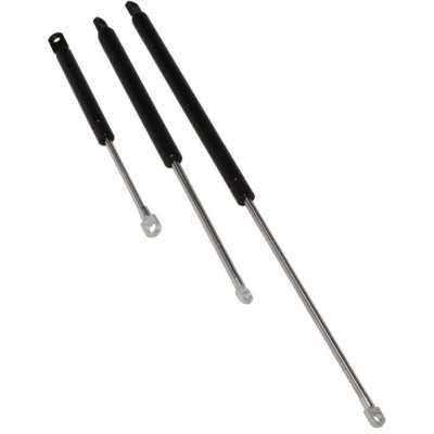 Molla a Gas Occhio+Occhio Aperto 244mm Reazione 5kg OS3800400-40%
