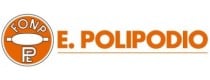 Polipodio